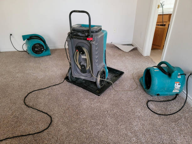 Best Water damage restoration near me  in Lufkin, TX