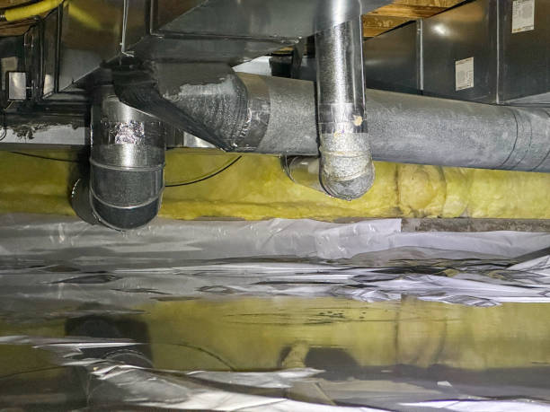 Best Sewage cleanup and water damage restoration  in Lufkin, TX