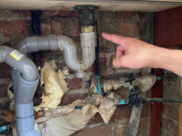 Best Water damage restoration near me  in Lufkin, TX