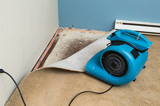 Best Commercial water damage restoration  in Lufkin, TX